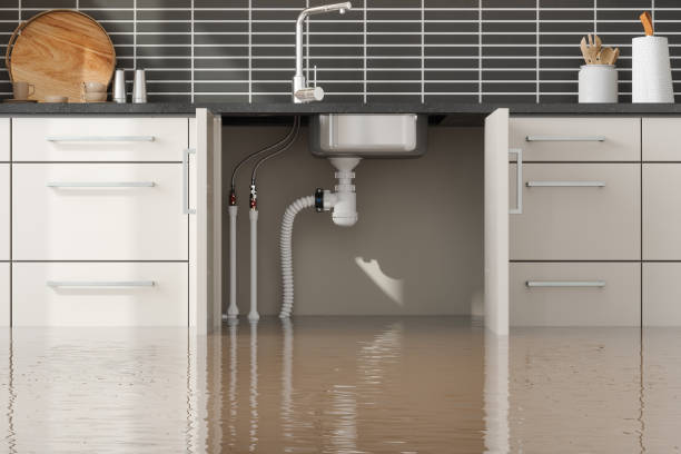 Best Wood Floor Water Damage Restoration in Boonville, CA